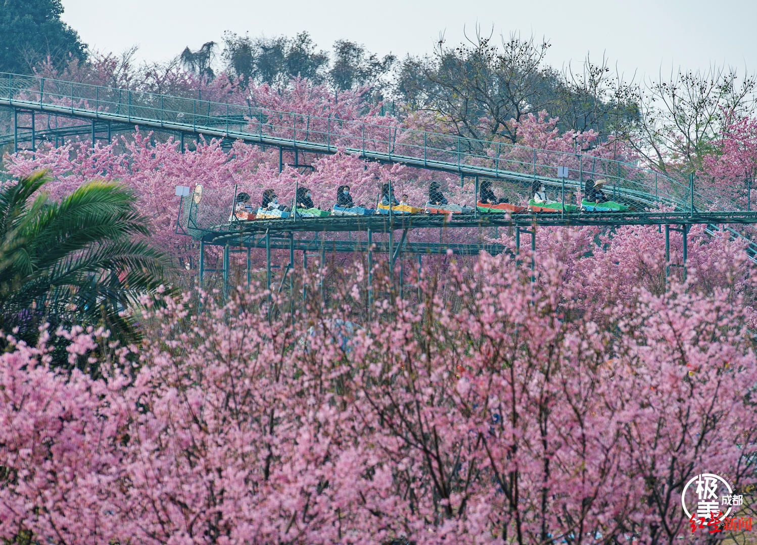 ▲漫花庄园