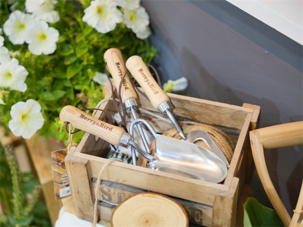 （来源：看头条网）