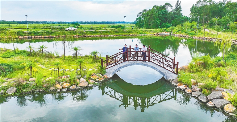 资料图:在临高县东英镇的龙潭神雨景区,游人在湖边赏景.