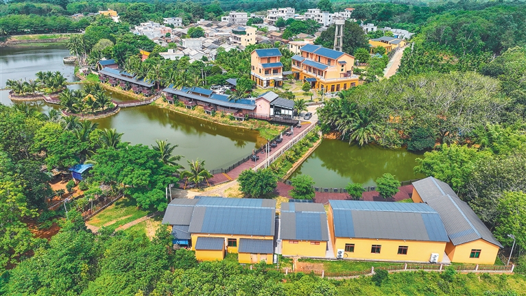 资料图:澄迈县大丰镇才存村共享农庄.