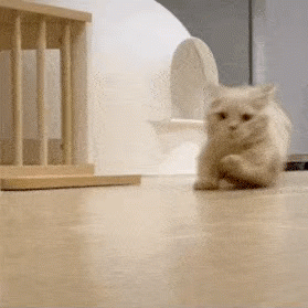 （来源：看头条网）