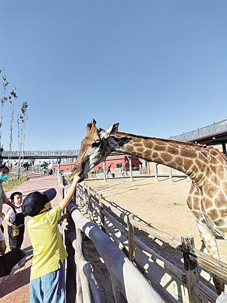 假期乐趣尽在兰州野生动物园|兰州市_新浪财经_新浪网