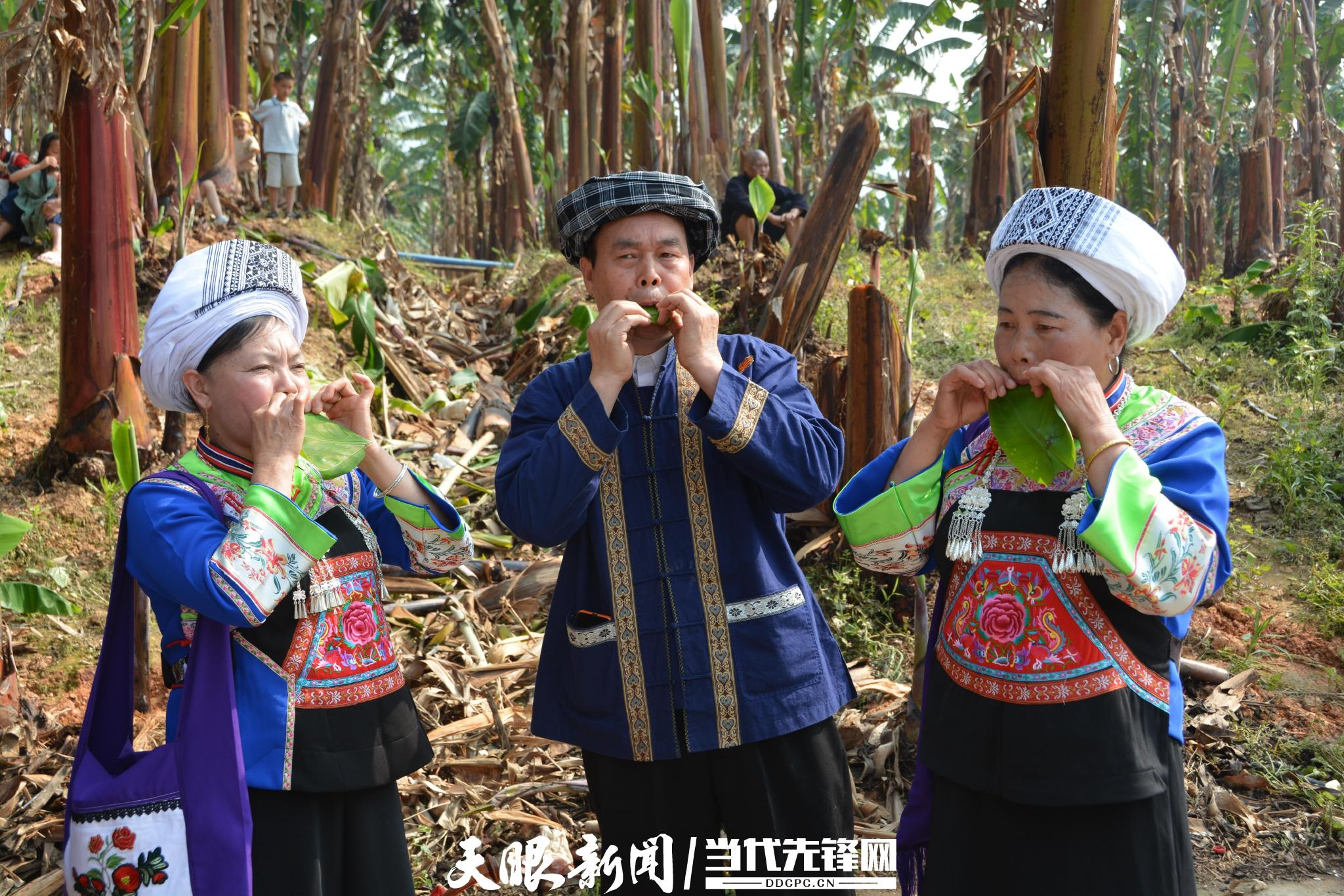 每年农历三月初三,是贵州黔西南州贞丰,望谟,册亨等地布依族的民族