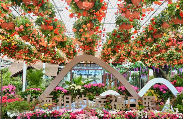 本届杜鹃花节以"山海相约,幸福日照"为主题,以杜鹃花展为载体,全方位