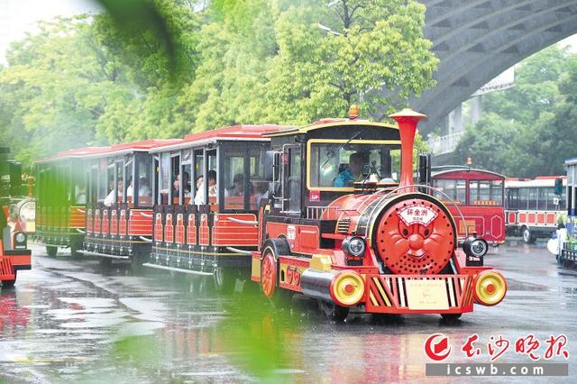 五一前新投入的10台观光小火车已成为橘子洲景区一景.