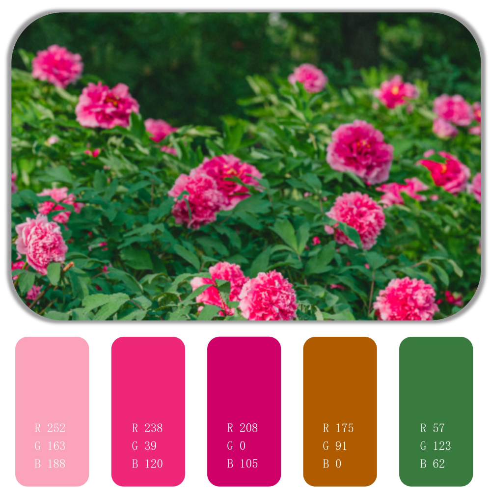 春日色卡 | 抓住春天的尾巴|唐山市_新浪财经_新浪网