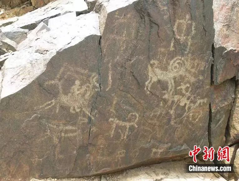 阴山岩画.张志国供图