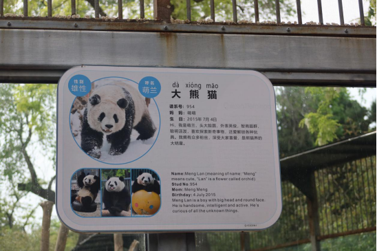 "丫丫"回国后,记者带着三个疑问走进中动协和北京动物园_新浪财经_新