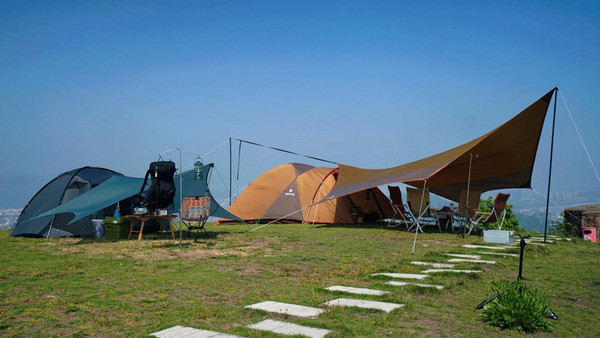 （来源：看头条网）