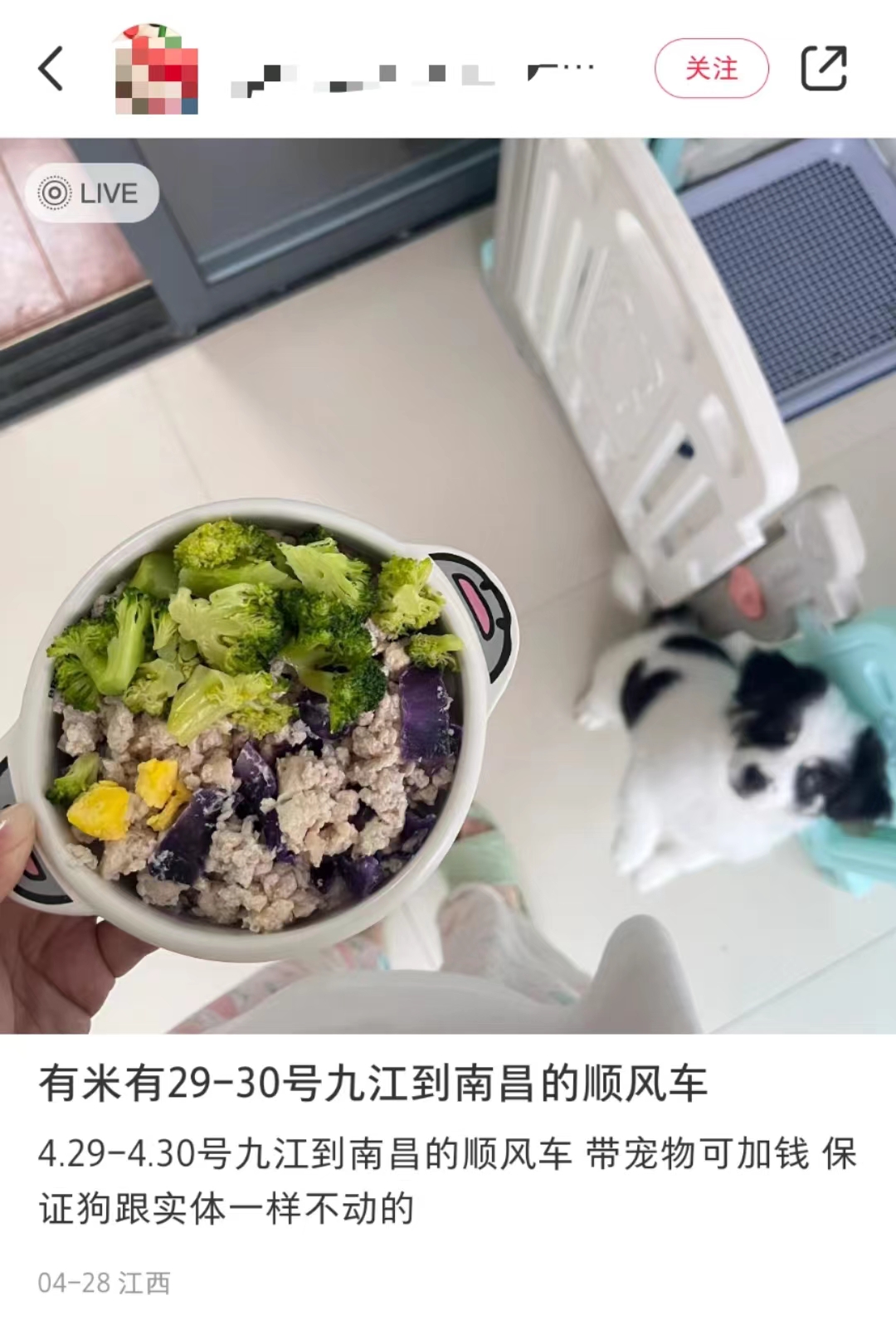 网友携宠物在社交平台上找车 图源:网络截图