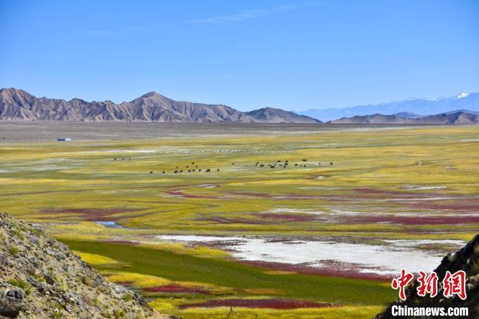 图为酒泉市肃北县盐池湾草原秋景.(资料图)&nbsp;郑磊斌&nbsp;摄