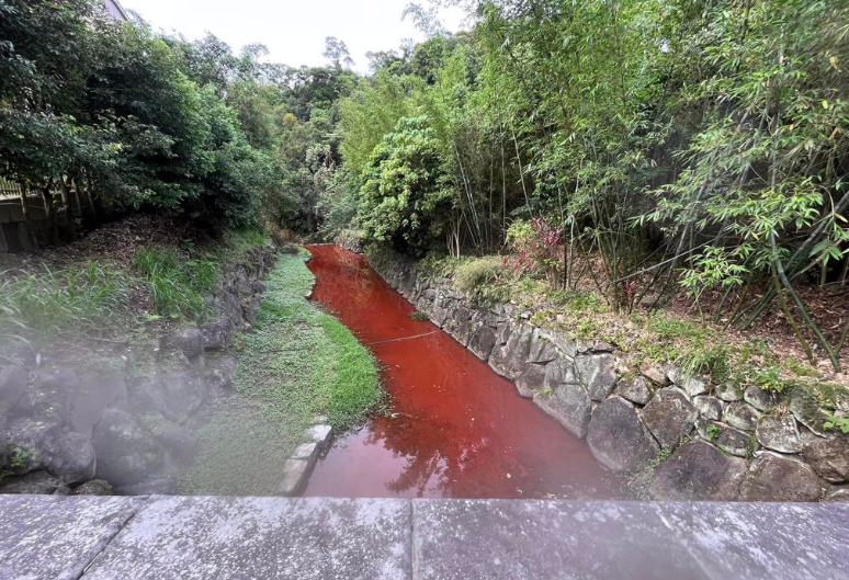 台媒：台北市内湖区内沟溪突然“血流成河”，当地里长解释原因|步道_新浪新闻