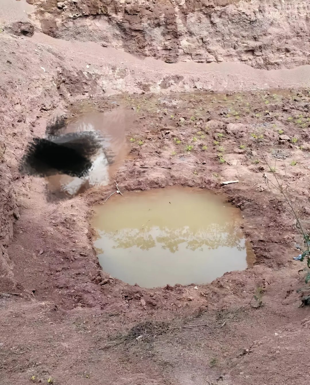 ↑事发现场的水坑。图据网友