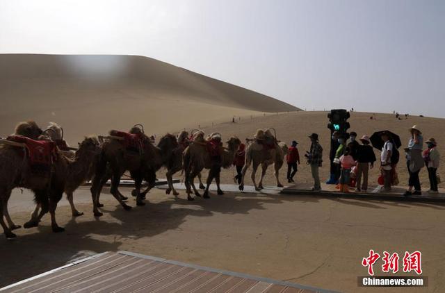 特色旅游受青睐 深度体验亮点多