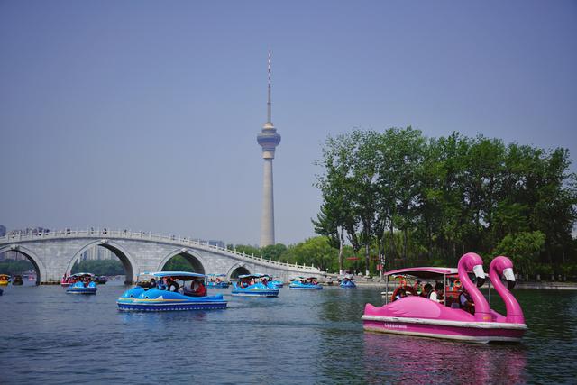 5月3日,游客乘船游览玉渊潭公园.新京报记者 薛珺 摄