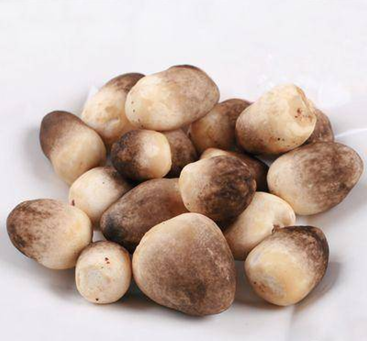 草菇冷藏渗水还能吃吗|草菇_新浪财经_新浪网