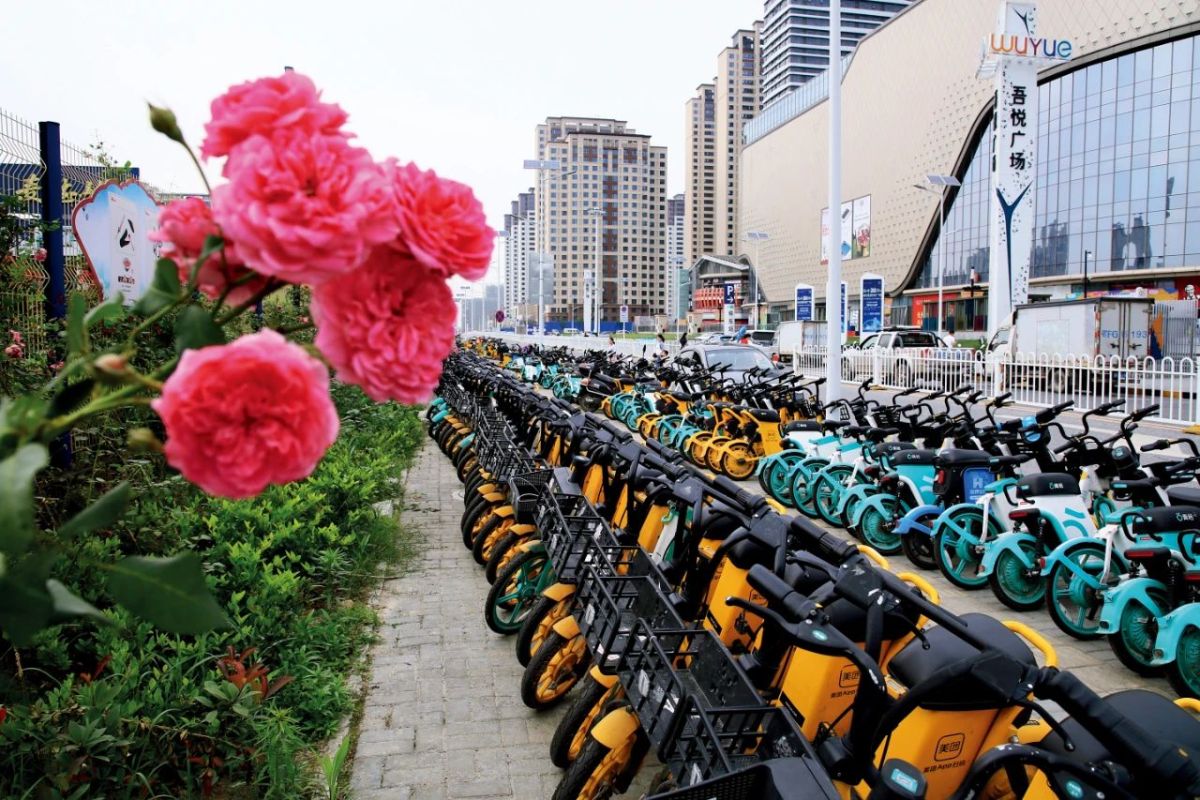 这些城市靠共享单车创收?|石家庄市_新浪财经_新浪网