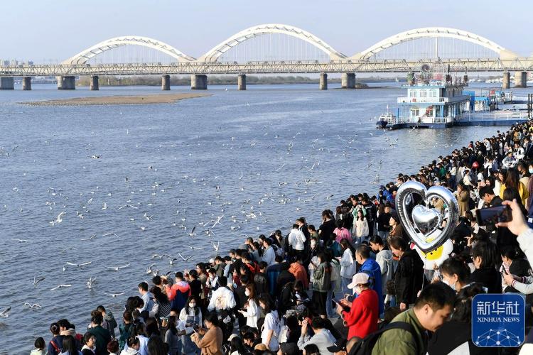 5月1日,游客在黑龙江省哈尔滨市游览.新华社发(刘洋摄)