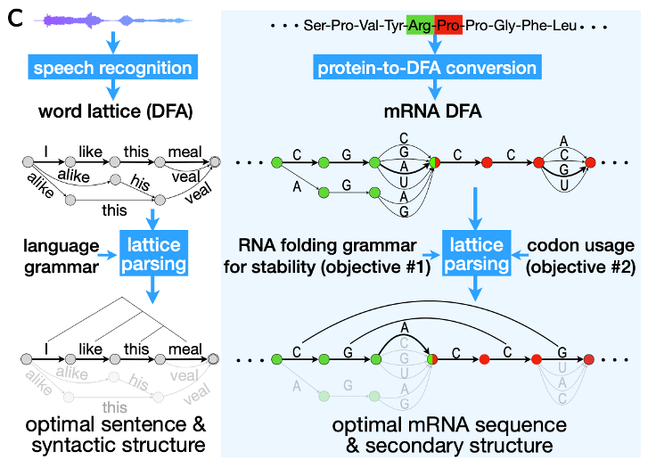 百度关键词优化_一键优化_百度优化