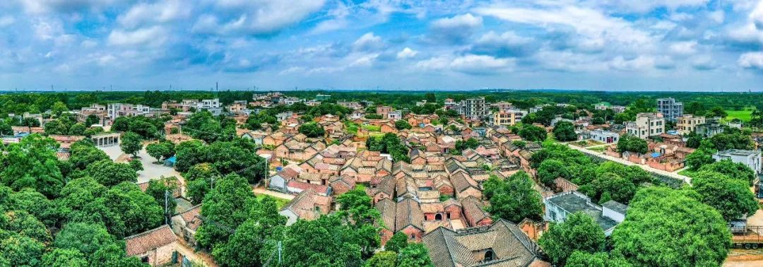 湛江这些村的"美名",你最pick哪一个?