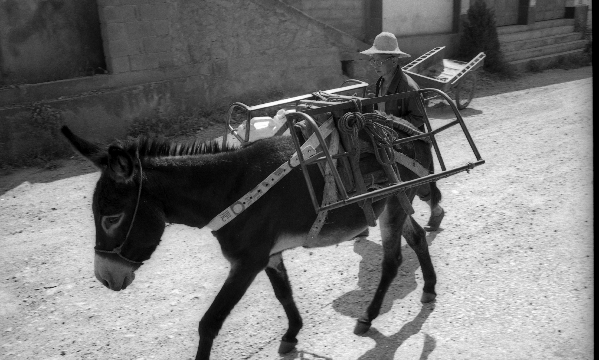 2008年,双廊镇上的一头骡子 受访者供图