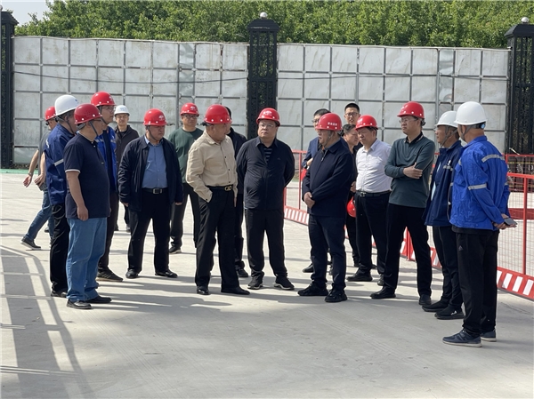 霸州市政府市长张森,副市长闫明杰,张树增,廊坊市督导检查组成员,霸州