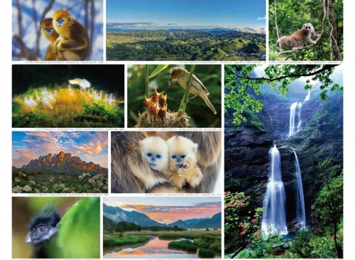 （来源：看头条网）