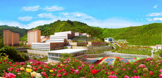 "金徽股份是一家集铅,锌,银等矿产资源勘查,开采