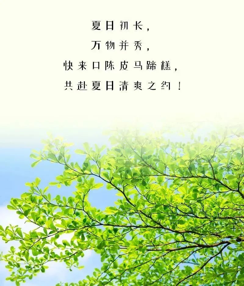 节气本草立夏日安然入夏陈皮清爽