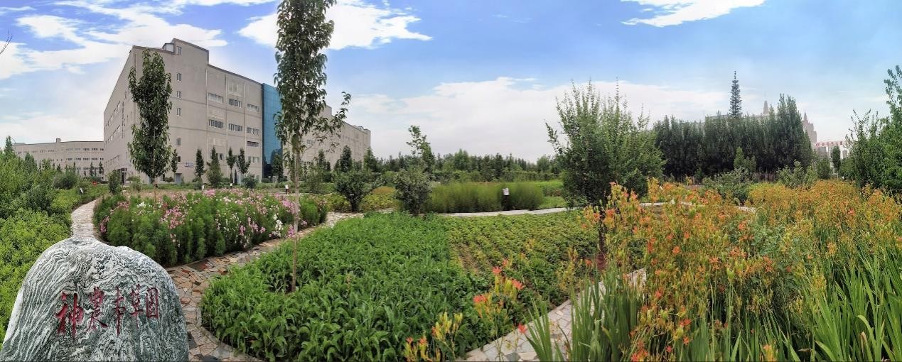 以岭药业产业园区内神农本草园景观