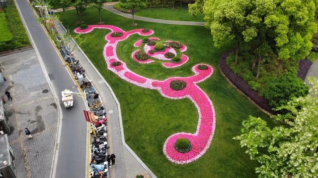 近期,在静安中环公园内,一条模纹的公园花境吸引了许多市