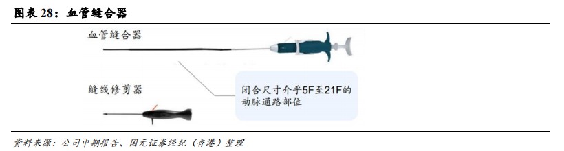 cordis公司怎么样国元国际：予归创通桥-B(02190)“买入”评级 神经和外周血管介入龙头有望迎来快速增长_https://www.jmylbn.com_新闻资讯_第25张