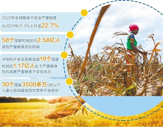 联合国粮农组织发布报告显示——全球粮食危机进一步加剧|全球粮食_新浪财经_新浪网