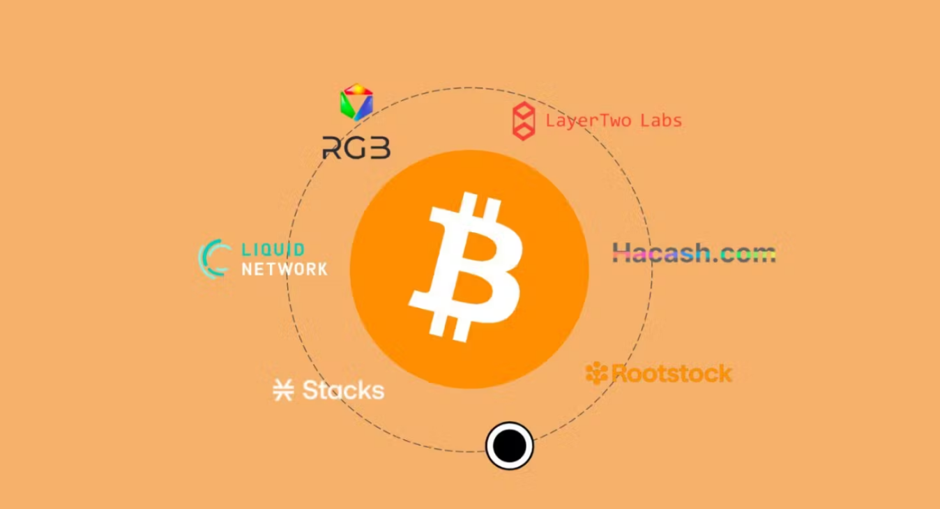 比特币生态蓬勃发展探讨4种扩容方式与发展趋势|可扩展性|中心化|升级|社区|转账_手机新浪网