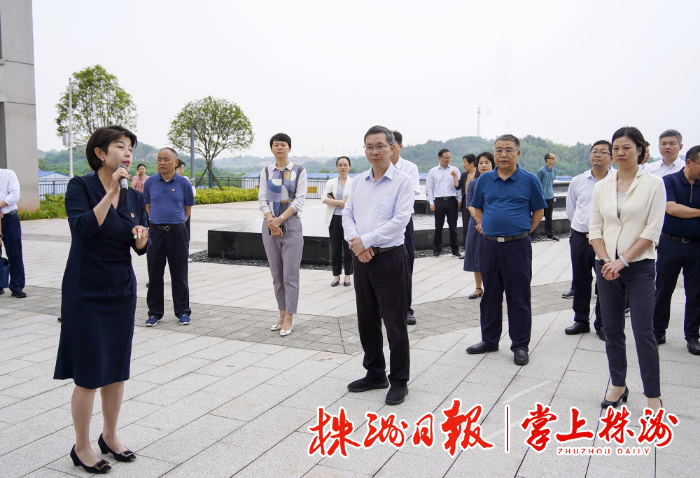 陈恢清率队在天元区,石峰区,芦淞区,渌口区观摩项目.记者 刘震 摄