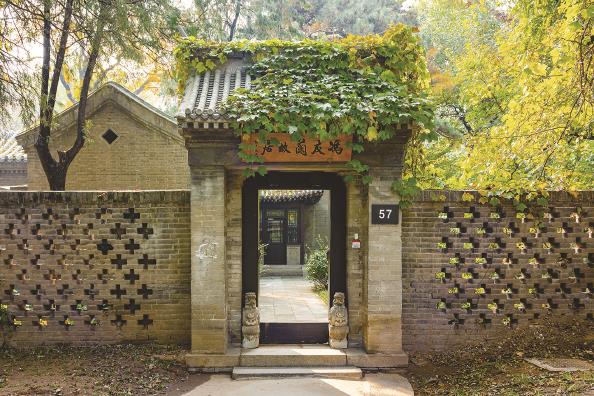 燕南园的猫_新浪财经_新浪网