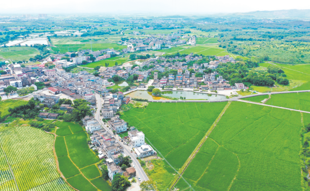 开平市"邑美侨乡世遗风韵"乡村振兴示范带美景怡人.
