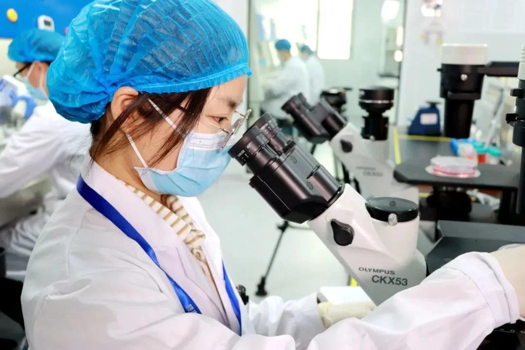 在赣南创新与转化医学研究院实验室内,科研人员正在进行科学试验