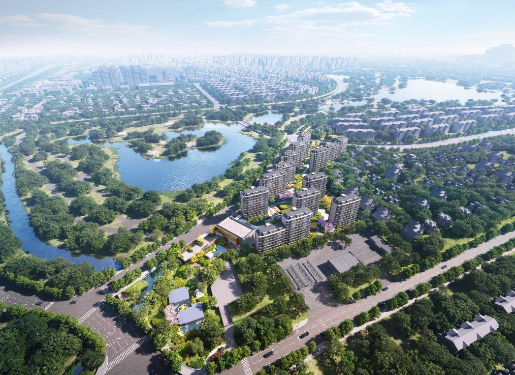 项目鸟瞰效果图