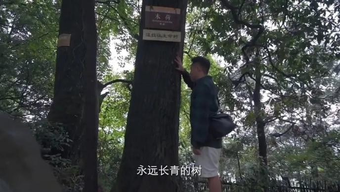 乐天在岜沙苗寨