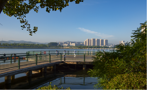 锦州东湖森林公园的生态故事|锦州市_新浪财经_新浪网