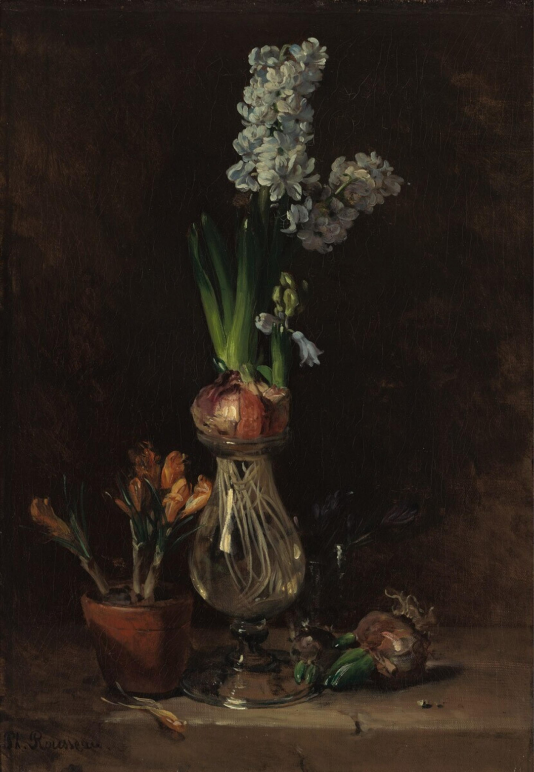 风信子的芬芳世纪丨芳草萋萋|奥斯曼_新浪财经_新浪网