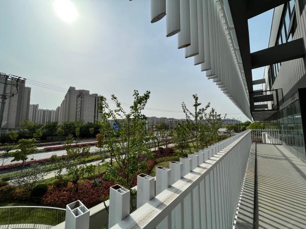 现在的潘泾路. 吴越 摄