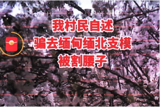云南网警依法处置村民被骗到缅北割腰子谣言