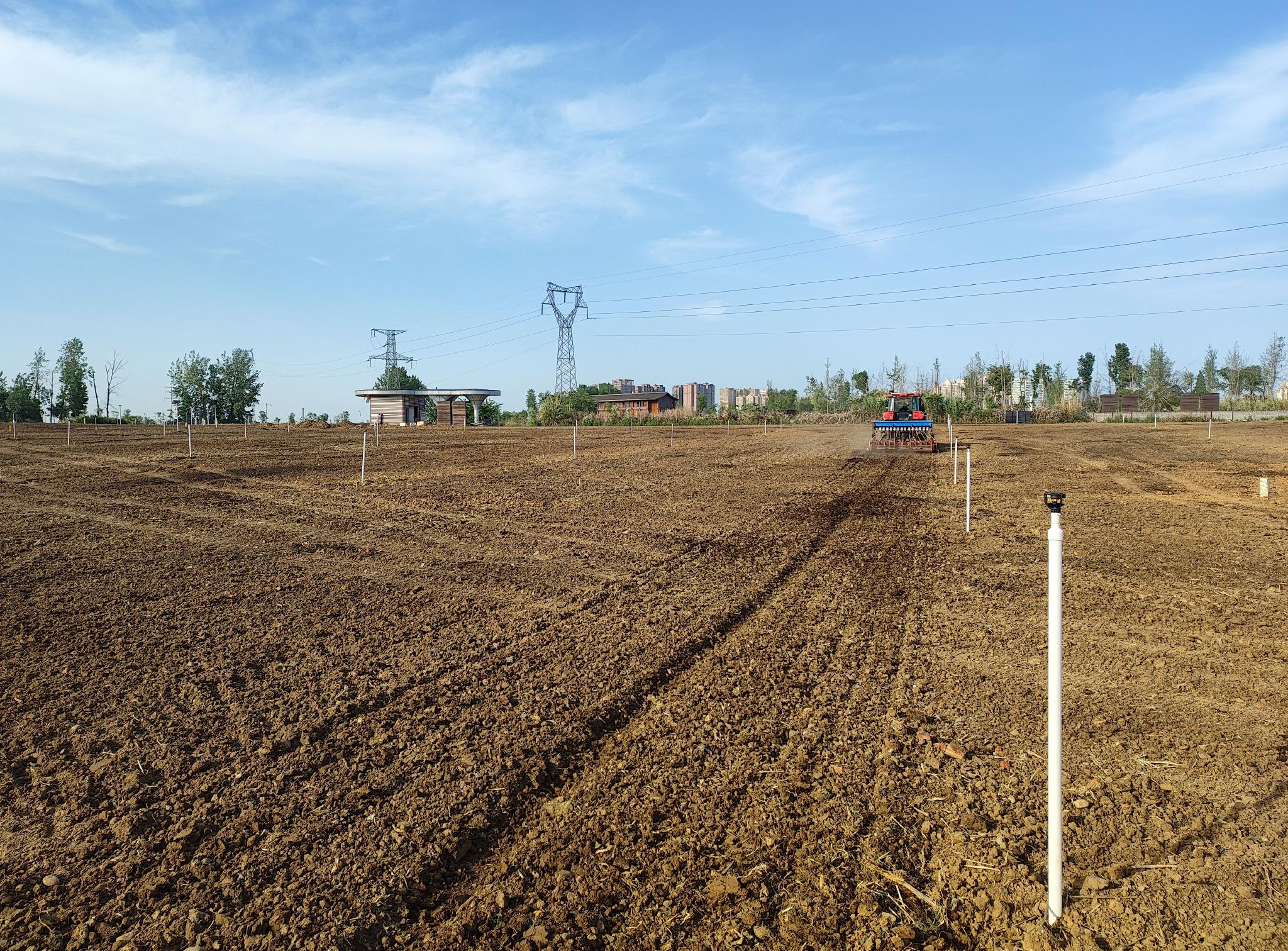 既是田也是景成都环城生态区开始大春播种