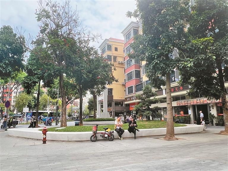 深圳晚报记者 叶洋特 通讯员 简志远 摄