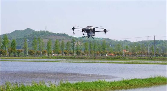 国联(益阳)ASC认证小龙虾养殖场