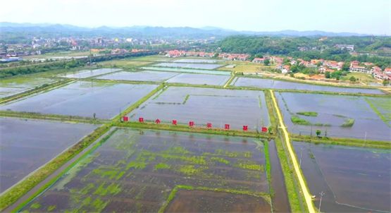 国联(益阳)ASC认证小龙虾养殖场