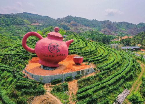 开平市农业农村局/供图