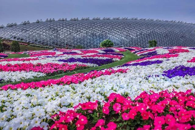 上海辰山植物园"上新"啦|上海市_新浪财经_新浪网